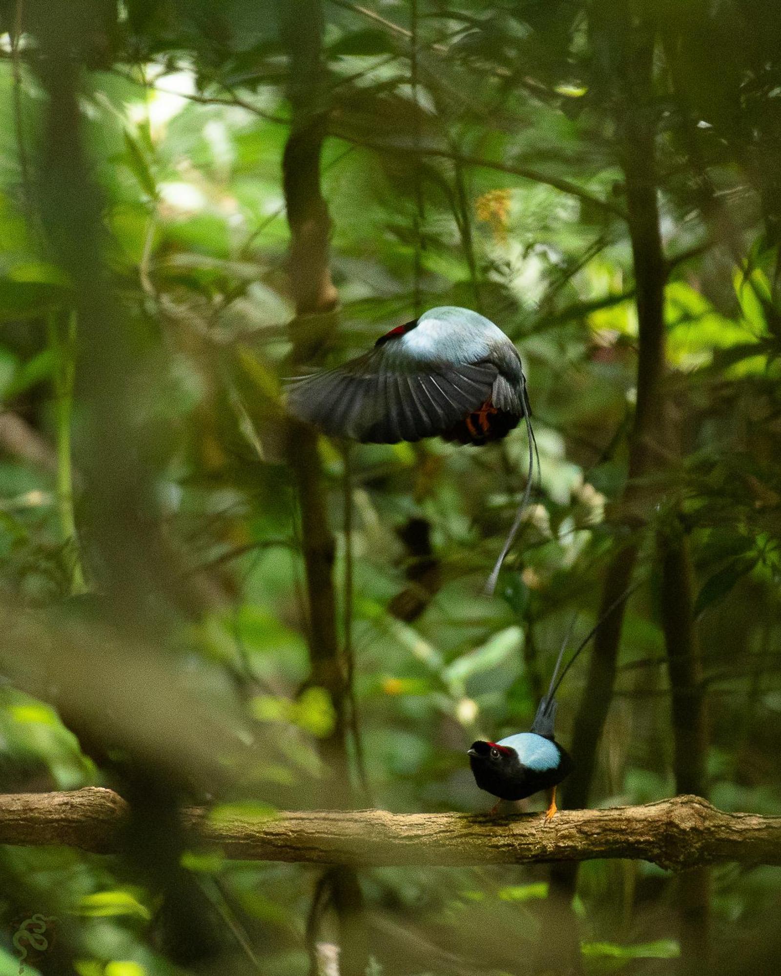Santuario Ecologico Monteverde 외부 사진